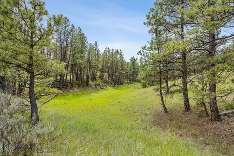 Other - 2920 79 Trl, Roy, MT 59471 photo 11 of 22