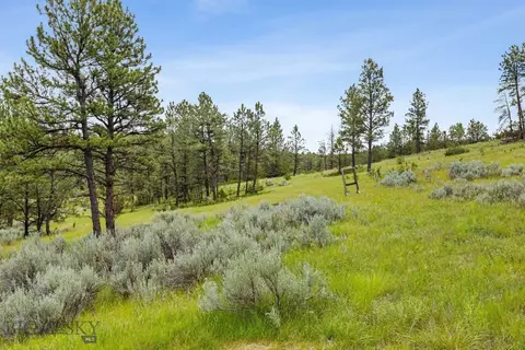 Other - 2920 79 Trl, Roy, MT 59471 photo 15 of 22