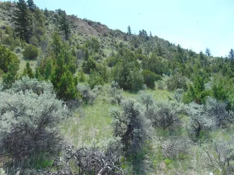 tbd Lone Wolf Trl, Three Forks, MT 59752 photo 34