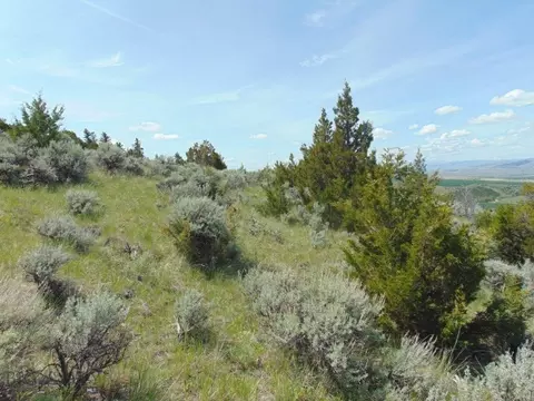 tbd Lone Wolf Trl, Three Forks, MT 59752 photo 35