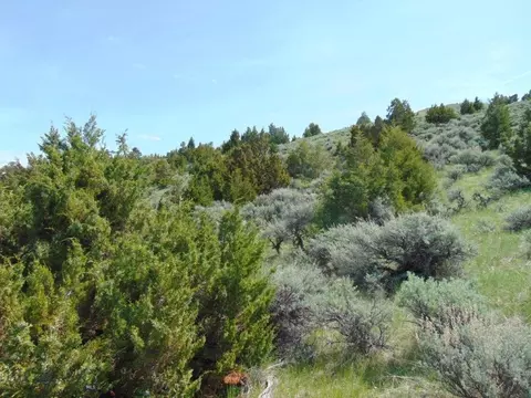 tbd Lone Wolf Trl, Three Forks, MT 59752 photo 13