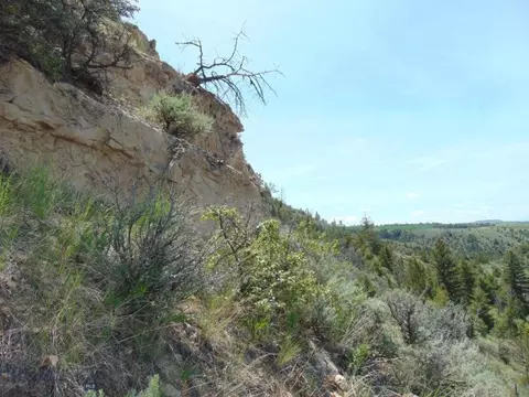 tbd Lone Wolf Trl, Three Forks, MT 59752 photo 58
