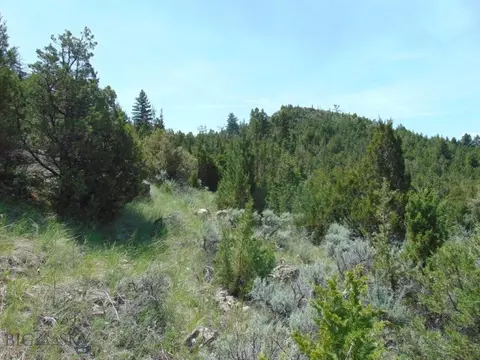 tbd Lone Wolf Trl, Three Forks, MT 59752 photo 7