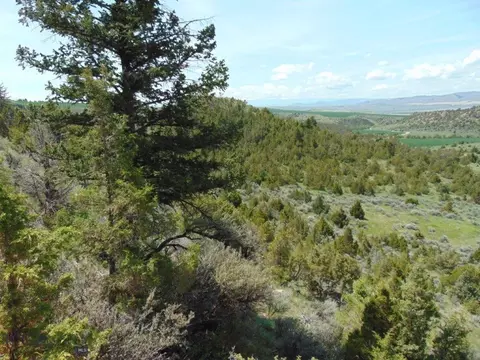 tbd Lone Wolf Trl, Three Forks, MT 59752