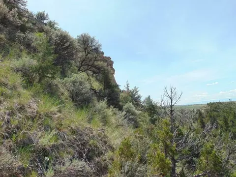 tbd Lone Wolf Trl, Three Forks, MT 59752 photo 59