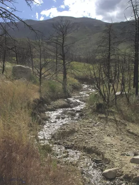 Nhn Ranger Way, Red Lodge, MT 59068