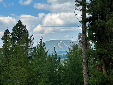 13 Discovery View Ln, Anaconda, MT 59711