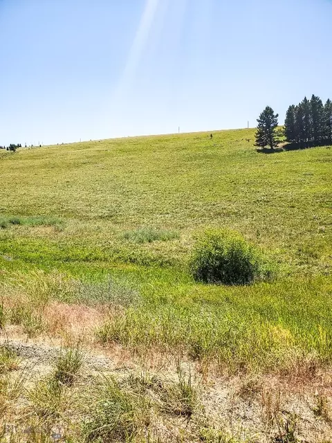 Undisclosed, Townsend, MT 59644 photo 14