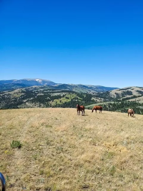 Undisclosed, Townsend, MT 59644 photo 13