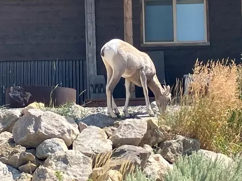 Other - 747 Upper Ruby Rd, Alder, MT 59710 photo 25 of 28