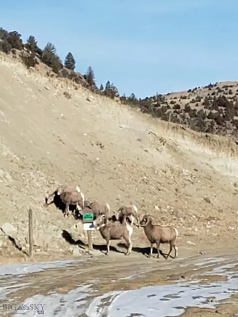 Other - 747 Upper Ruby Rd, Alder, MT 59710 photo 27 of 28
