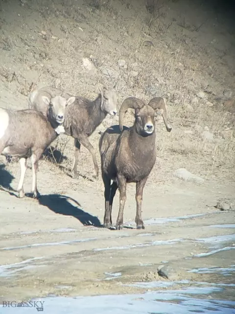 Other - 747 Upper Ruby Rd, Alder, MT 59710 photo 28 of 28