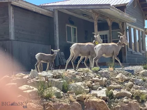 Exterior - 747 Upper Ruby Rd, Alder, MT 59710 photo 21 of 21