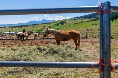 Undisclosed, Livingston, MT 59047