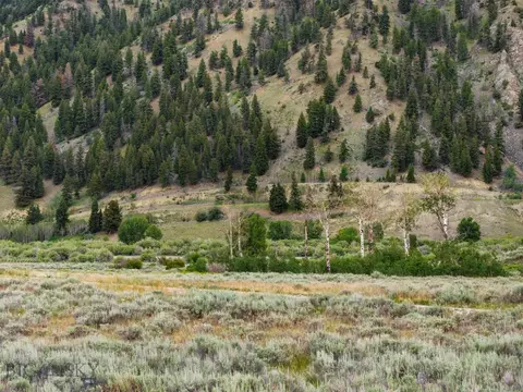 36 Torry Rd, Cameron, MT 59720 photo 18