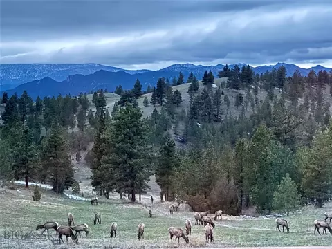 Other - Undisclosed, Helena, MT 59601 photo 20 of 21