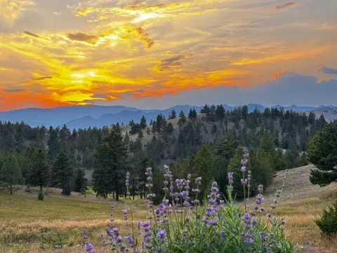 Other - Undisclosed, Helena, MT 59601 photo 11 of 21