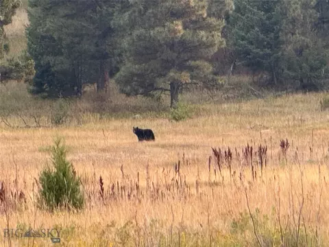 Other - Undisclosed, Helena, MT 59601 photo 18 of 21