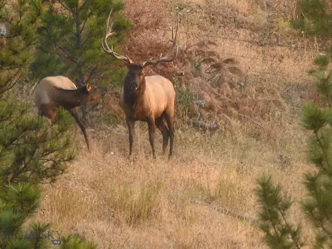Other - Undisclosed, Helena, MT 59601 photo 21 of 21