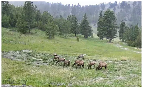 Other - Undisclosed, Helena, MT 59601 photo 14 of 21