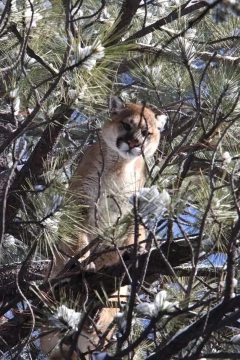 Other - Undisclosed, Helena, MT 59601 photo 16 of 21