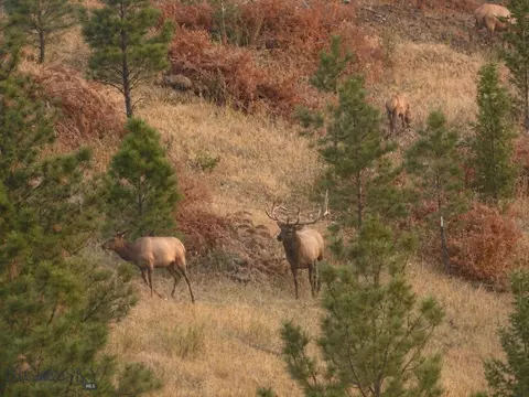 Undisclosed, Helena, MT 59601