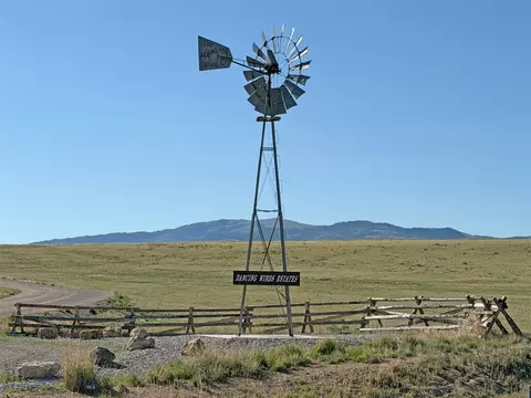 tbd Bluebird Dr, Dillon, MT 59725 photo 2