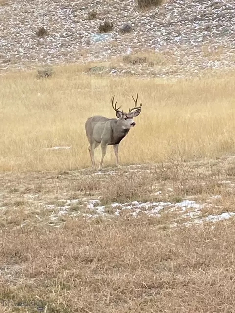 Other - 60 Hidden Valley Rd, Emigrant, MT 59027 photo 21 of 22