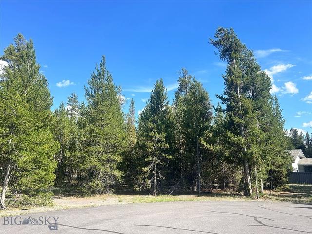 518 Apollinaris, West Yellowstone, MT 59758