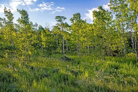 tbd Hwy 89, Browning, MT 59417 photo 15