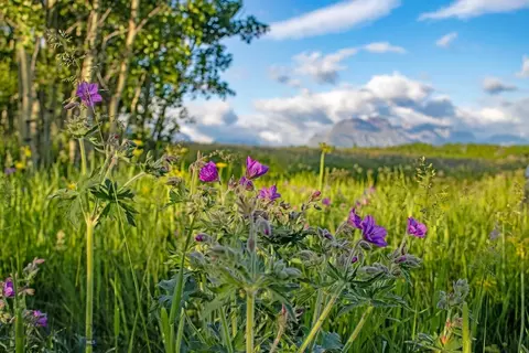 tbd Hwy 89, Browning, MT 59417 photo 63