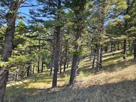 Banner Clancy Creek Road, Clancy, MT 59634 photo 24