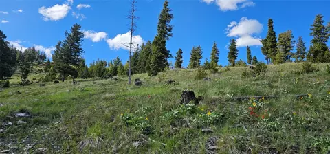 4 Tract Garnet Range, Drummond, MT 59832 photo 4
