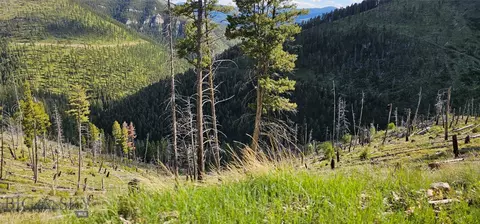 4 Tract Garnet Range, Drummond, MT 59832 photo 5