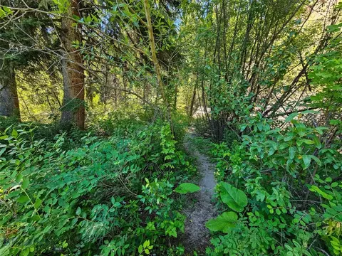 Other - 212 E Boulder Rd, Mc Leod, MT 59052 photo 16 of 21