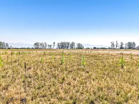 tbd Frank Rd, Belgrade, MT 59714 photo 42