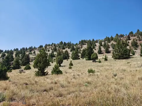 985 Tenderfoot Trl, Ramsay, MT 59748 photo 5
