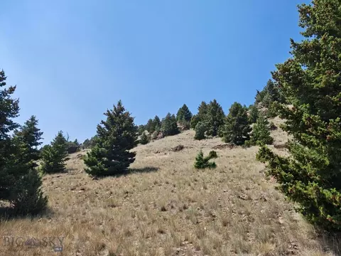 985 Tenderfoot Trl, Ramsay, MT 59748 photo 4