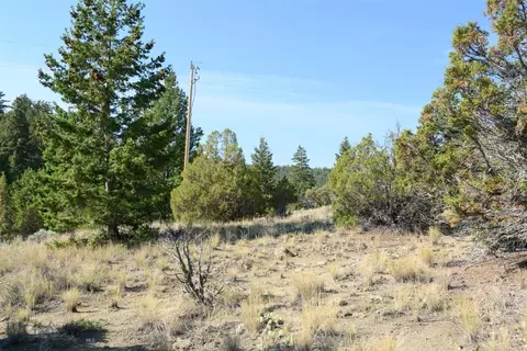 Other - 37 Cox, Whitehall, MT 59759 photo 6 of 16