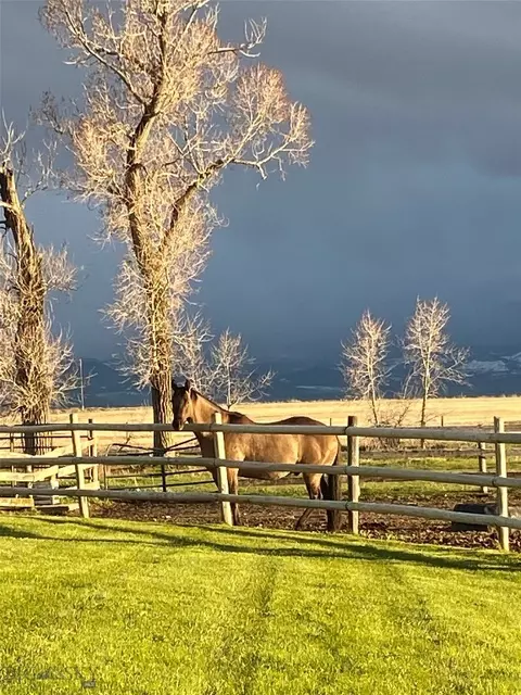 Other - 6070 Springhill Rd, Belgrade, MT 59714 photo 19 of 19
