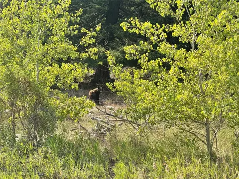 Other - Undisclosed, Mcleod, MT 59062 photo 5 of 31