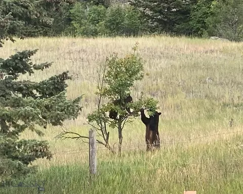 Other - Undisclosed, Mcleod, MT 59062 photo 2 of 22
