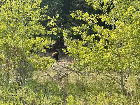 Other - Undisclosed, Mcleod, MT 59062 photo 3 of 22