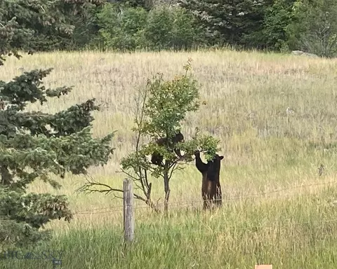 Other - Undisclosed, Mcleod, MT 59062 photo 4 of 31