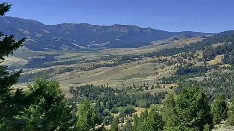 tbd Grizzly Meadows Rd, Emigrant, MT 59027 photo 20