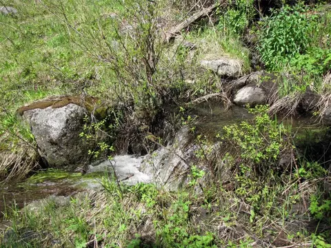 tbd Grizzly Meadows Rd, Emigrant, MT 59027 photo 4