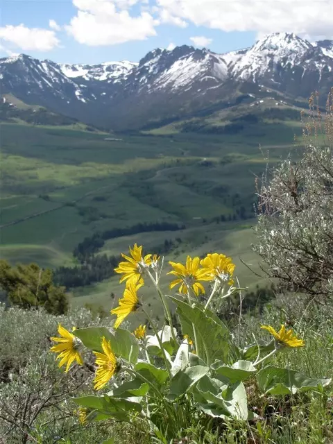 tbd Grizzly Meadows Rd, Emigrant, MT 59027 photo 11