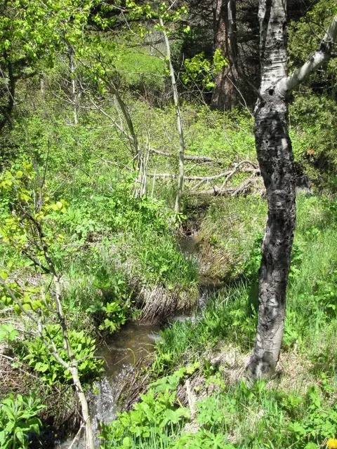 tbd Grizzly Meadows Rd, Emigrant, MT 59027 photo 16