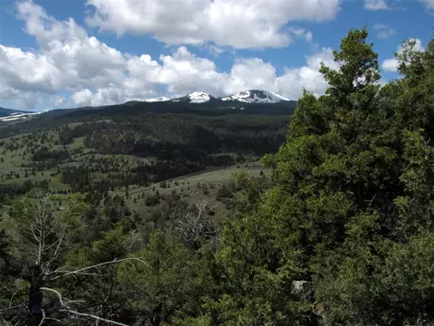 tbd Grizzly Meadows Rd, Emigrant, MT 59027 photo 5