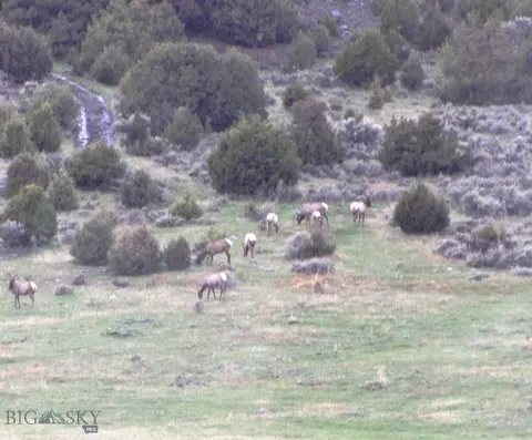 tbd Grizzly Meadows Rd, Emigrant, MT 59027 photo 27